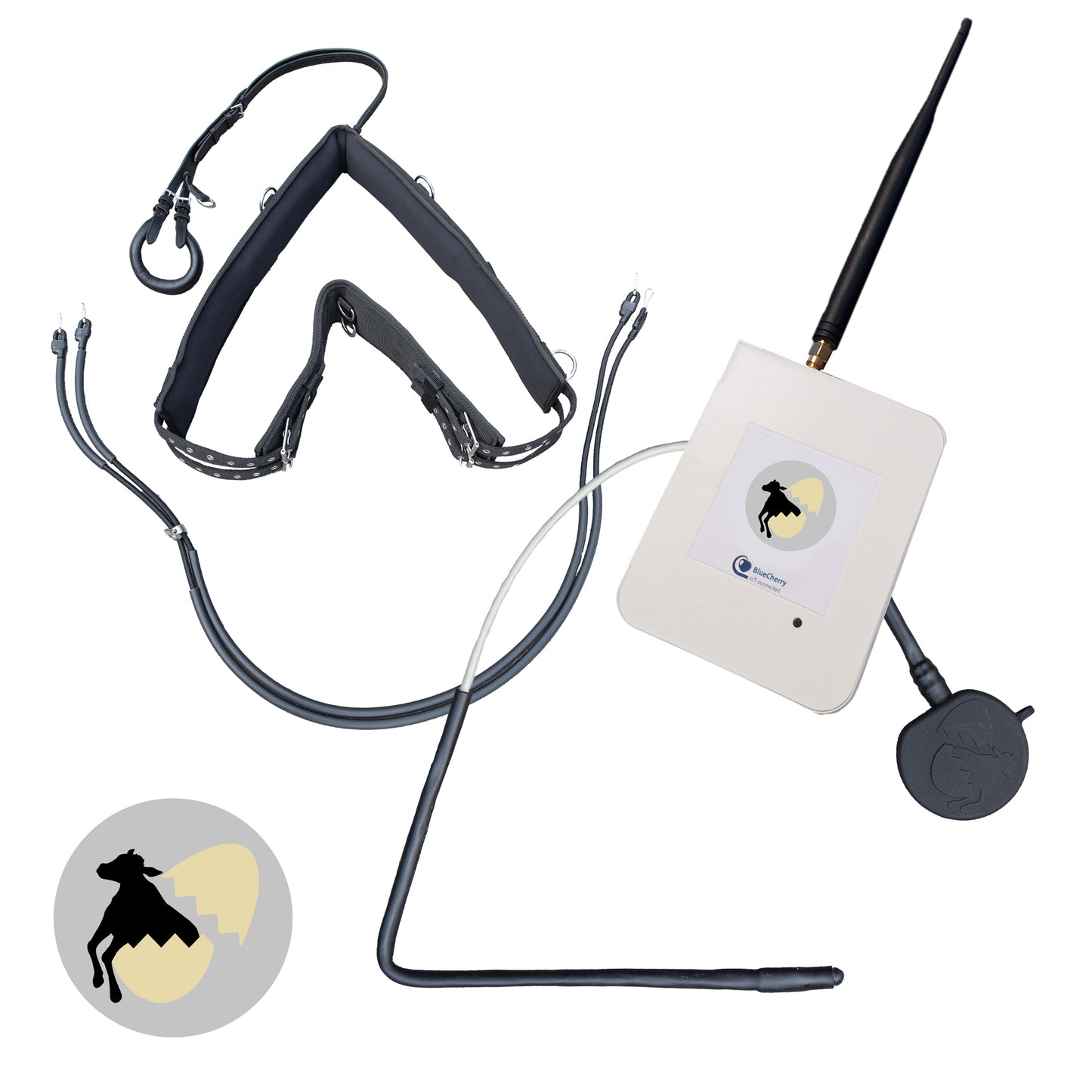 Birth alarm for cows - complete set