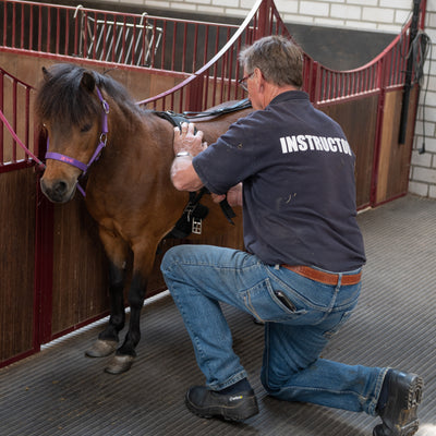 Bevestigingstuigje voor paarden en pony's