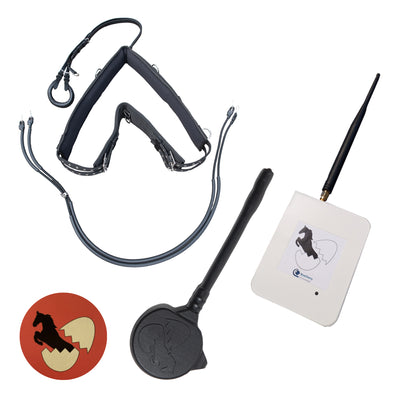 Geburtsalarm für Pferde und Ponys - komplettes Set