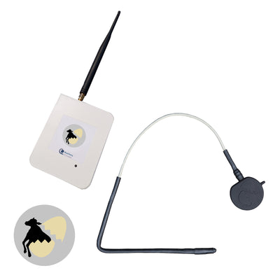 Receiver and transmitter for cows