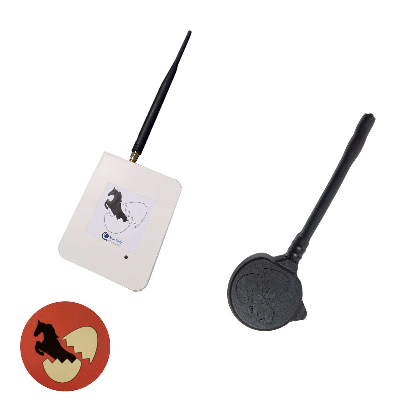 Receiver and transmitter for horses and ponies