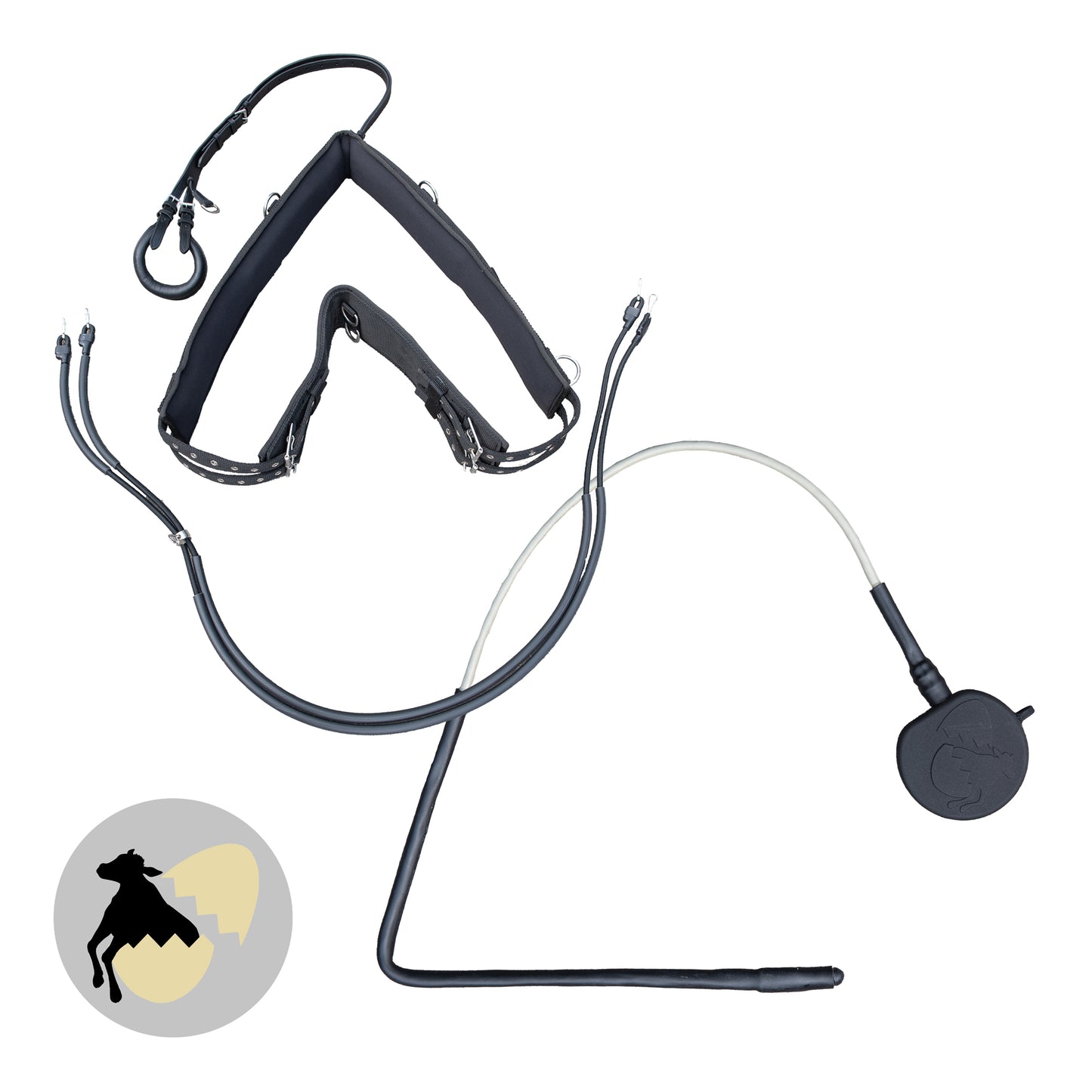 Transmitter and harness for cows