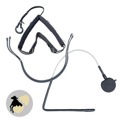 Transmitter and harness for cows
