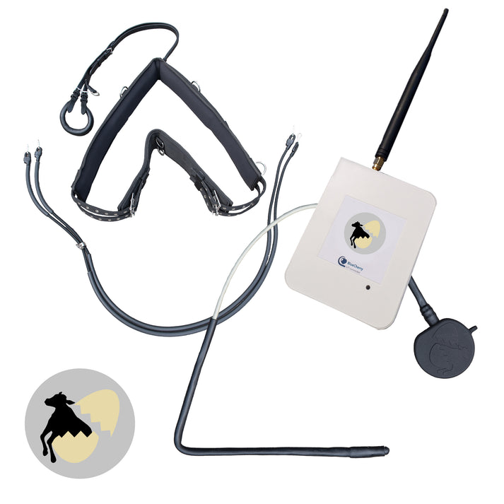 Birth alarm for cows - complete set – Birth-Watch